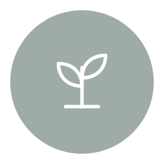 FLOW-classicon-foundation