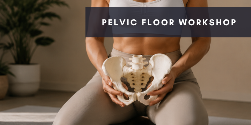 pelvic floor